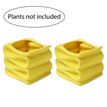 Stylish Modern Yellow Mini Succulent Plant Pot Set