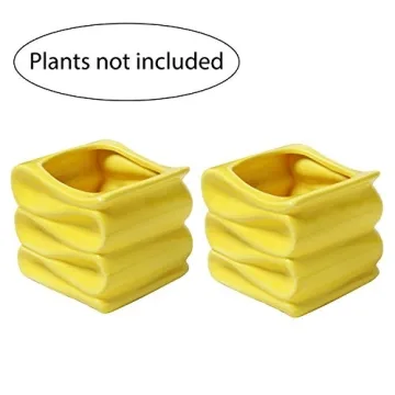 Stylish Modern Yellow Mini Succulent Plant Pot Set
