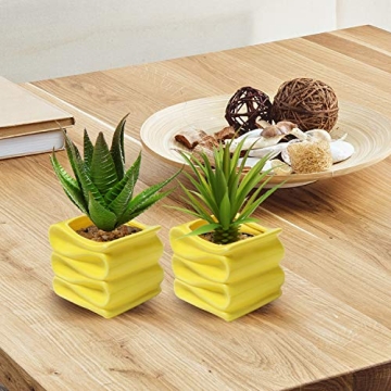 Stylish Modern Yellow Mini Succulent Plant Pot Set