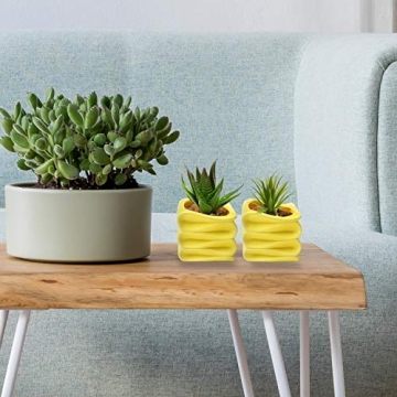 Stylish Modern Yellow Mini Succulent Plant Pot Set