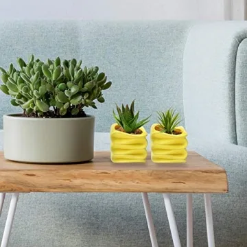 Stylish Modern Yellow Mini Succulent Plant Pot Set