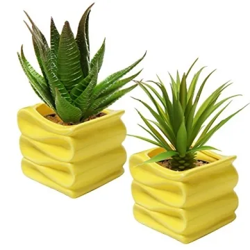 Stylish Modern Yellow Mini Succulent Plant Pot Set