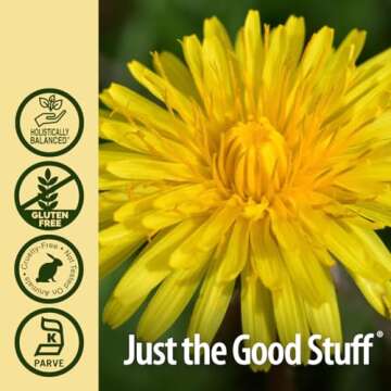 Nature's Answer Dandelion Root with Low Organic Alcohol 2000mg 1oz Extract | Supports Liver Function | Gluten-Free, Kosher, Non-GMO | Single Count