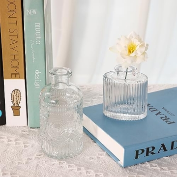 Elegant Fixwal Set of 5 Bud Vases for Home Decor