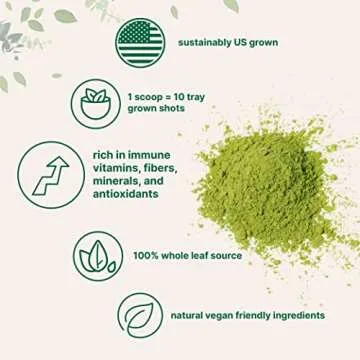Organic Wheatgrass Powder for Health Enthusiasts - 16 Ounce
