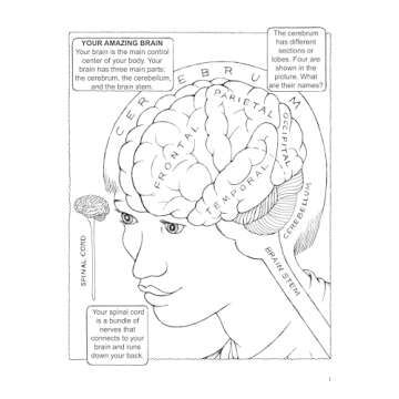 My First Book About the Brain (Dover Science For Kids Coloring Books)