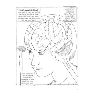 My First Book About the Brain (Dover Science For Kids Coloring Books)