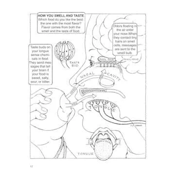 My First Book About the Brain (Dover Science For Kids Coloring Books)