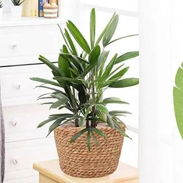 Stylish Eco-Friendly Planter Baskets for All Spaces