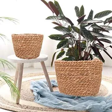 Stylish Eco-Friendly Planter Baskets for All Spaces