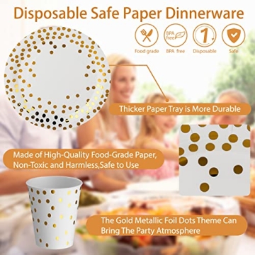 Dn Dennov Elegant Party Supplies for 20 Guests