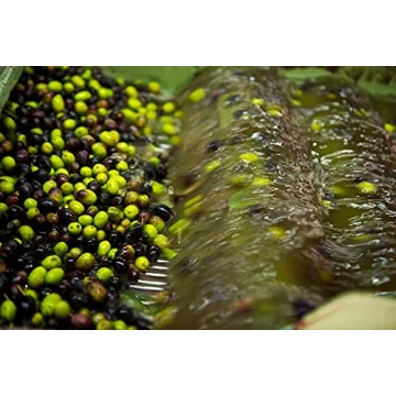 Clemente Extra Virgin Olive Oil | Organic & D.O.P. Certified