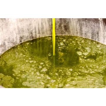 Clemente Extra Virgin Olive Oil | Organic & D.O.P. Certified