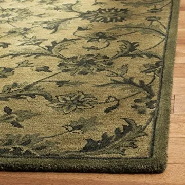 Elegant Safavieh Antiquity Olive/Green Accent Rug