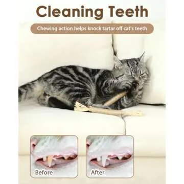 Tocirelo Silvervine Sticks Cat Toys - 6 Pack Natural Cat Chew Stick Toy for Cat Dental Care Teeth Cleaning, Matatabi Cat Nip Treat Toys for Indoor Cats Kittens