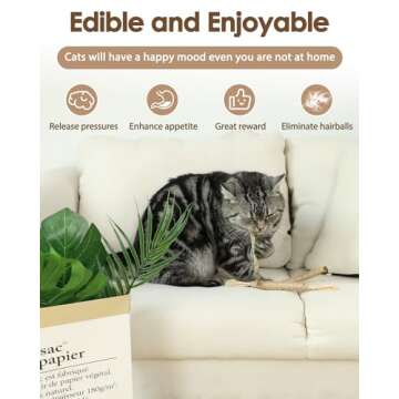 Tocirelo Silvervine Sticks Cat Toys - 6 Pack Natural Cat Chew Stick Toy for Cat Dental Care Teeth Cleaning, Matatabi Cat Nip Treat Toys for Indoor Cats Kittens