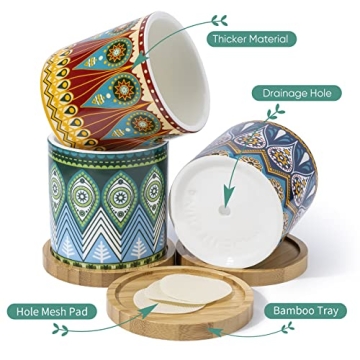 Charming Greenaholics Succulent Planter Pots Set of 3