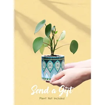 Charming Greenaholics Succulent Planter Pots Set of 3