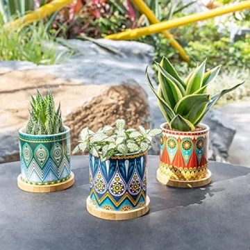 Charming Greenaholics Succulent Planter Pots Set of 3