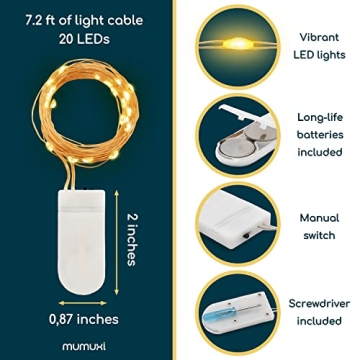 MUMUXI 24 Pack Fairy Lights Battery Operated String Lights