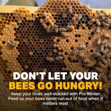 Mann Lake Pro-Winter Feed for Bees | Winter Patties for Beehive Feeding | Supports Colony Survival During Cold Weather | Low Protein Formula for Overwintering Bees | Beekeeping Supplies | 10lb Bucket
