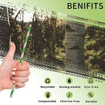 Biodegradable Green Striped Paper Straws for Parties