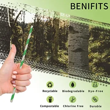 Biodegradable Green Striped Paper Straws for Parties