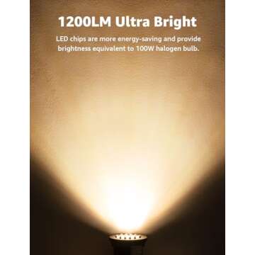 SUNVIE 12W Low Voltage Outdoor LED Landscape Lights