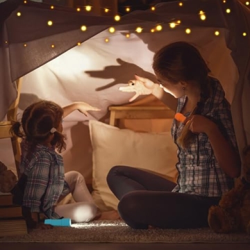 FASTPRO 10-Pack 9-LED Mini Flashlights Bright Compact