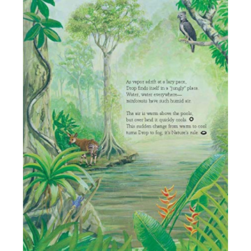 A Drop Around the World for Learning About Water Cycles