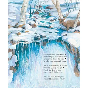 A Drop Around the World for Learning About Water Cycles