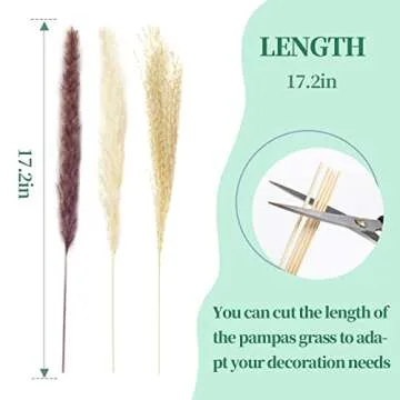 Natural Dried Pampas Grass Bouquet, 60 Pcs Dried Reed Flowers, Boho Home Decor Bouquet for Home Table Decorations, Wedding Floral Arrangements Rustic Farmhouse