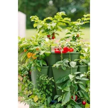 GreenStalk 5 Tier Vertical Garden Planter for Quick Growth