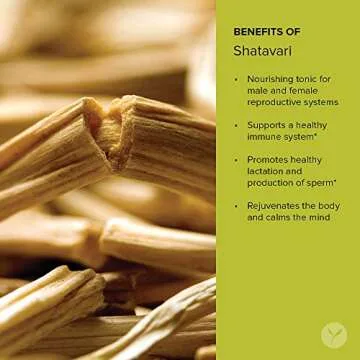 Banyan Botanicals Organic Shatavari Powder – Asparagus racemosus – Ayurvedic Herb for Vata & Pitta, Balanced Female Hormones, Energy, Vitality & More* – 1/2lb. ­– Non-GMO Sustainably Sourced Vegan FFL
