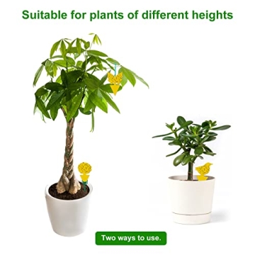 Stingmon 54 Pack Fruit Fly Trap for Indoor Use