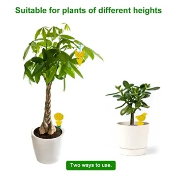 Stingmon 54 Pack Fruit Fly Trap for Indoor Use