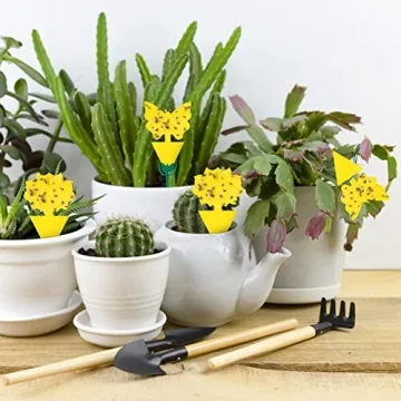 Stingmon 54 Pack Fruit Fly Trap for Indoor Use