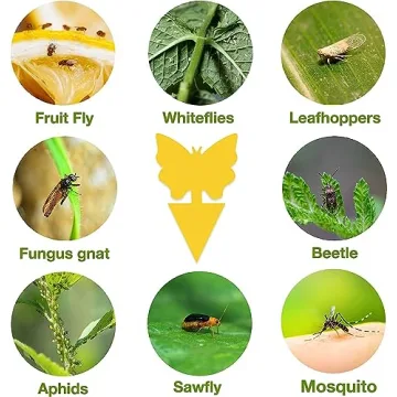 Stingmon 54 Pack Fruit Fly Trap for Indoor Use