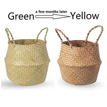 BrilliantJo Seagrass Belly Basket, Set of 2 Woven Plant Pot Holder handmade Home Decor for Storage Plants Picnic Grocery Medium(10.63 x 9.44 inch)