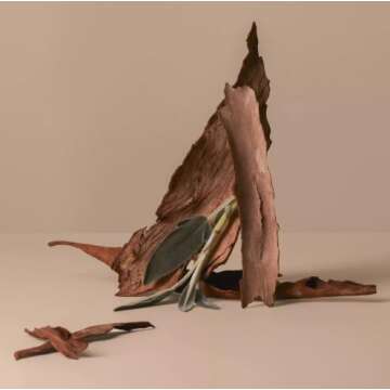 Palo Santo Sage Milky Body Lotion - Calming Moisture