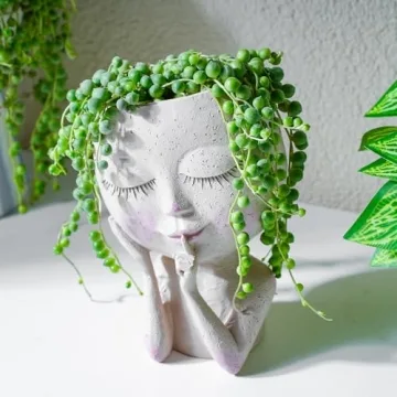 String of Pearls Succulent Plants - Elegant & Easy Care