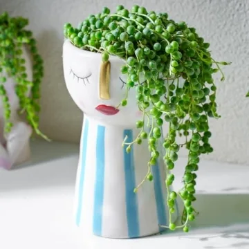 String of Pearls Succulent Plants - Elegant & Easy Care