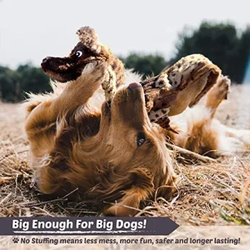 High Five Pets Dog Squeaky Toys - Durable No-Stuffing Set