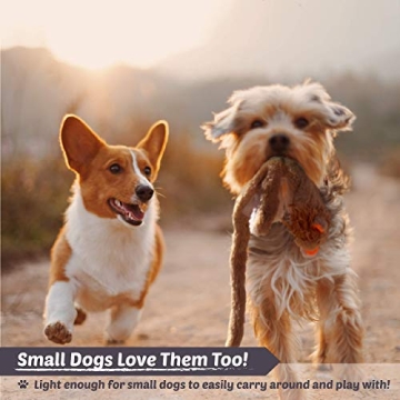 High Five Pets Dog Squeaky Toys - Durable No-Stuffing Set