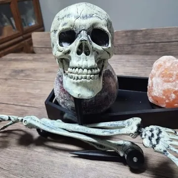 Realistic Halloween Skeleton Stakes for Spooky Decor