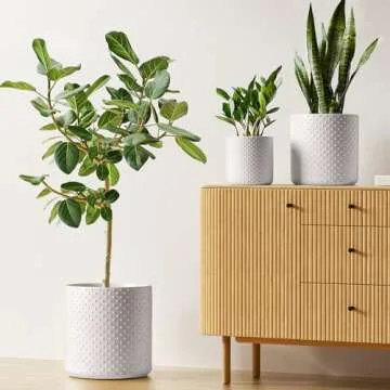 LE TAUCI 6+8+10 Inch Plant Pots Indoor, Ceramic Planter Pots for Plants, Raised Dots Flower Pots Indoor for Home and Office, Mid-Modern Century Pots Indoor with Drainage Hole and Silicone Plug, White