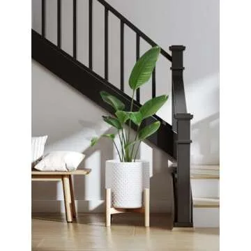 LE TAUCI 6+8+10 Inch Plant Pots Indoor, Ceramic Planter Pots for Plants, Raised Dots Flower Pots Indoor for Home and Office, Mid-Modern Century Pots Indoor with Drainage Hole and Silicone Plug, White