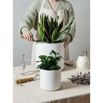 LE TAUCI 6+8+10 Inch Plant Pots Indoor, Ceramic Planter Pots for Plants, Raised Dots Flower Pots Indoor for Home and Office, Mid-Modern Century Pots Indoor with Drainage Hole and Silicone Plug, White