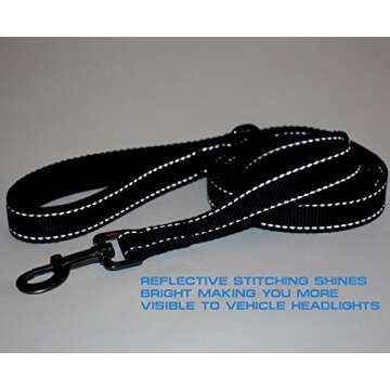 Max and Neo Reflective Nylon Dog Leash - We Donate a Leash to a Dog Rescue for Every Leash Sold (Black, 6x1)