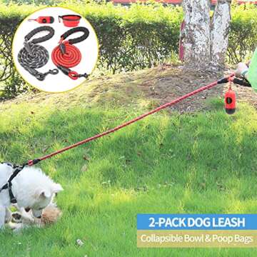 BAAPET Dog Leash Set with Padded Handle and Reflective Safety